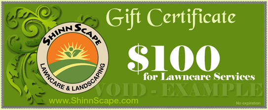 Buy your friends or family some free time this weekend!