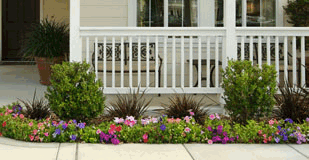 Learn about Landscaping